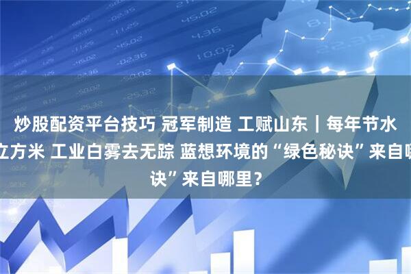 炒股配资平台技巧 冠军制造 工赋山东｜每年节水1亿立方米 工业白雾去无踪 蓝想环境的“绿色秘诀”来自哪里？