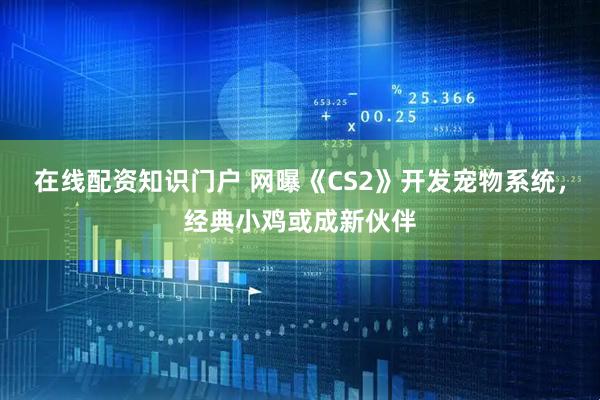 在线配资知识门户 网曝《CS2》开发宠物系统，经典小鸡或成新伙伴