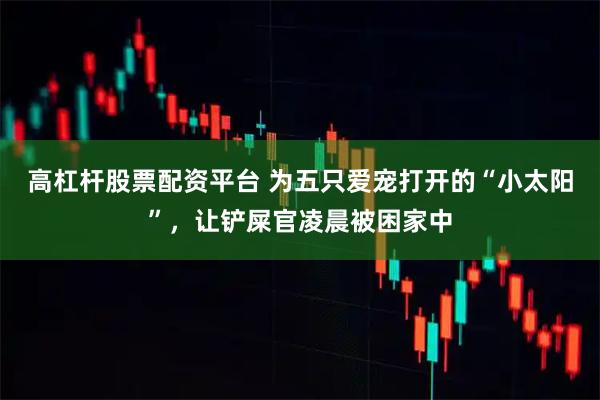 高杠杆股票配资平台 为五只爱宠打开的“小太阳”，让铲屎官凌晨被困家中